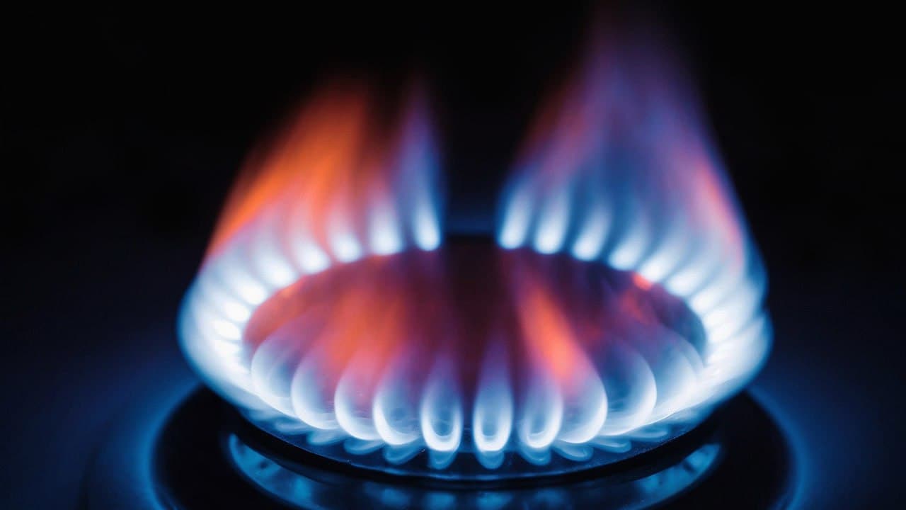 STEERING THE SHIFT TOWARDS CLEAN ENERGY
